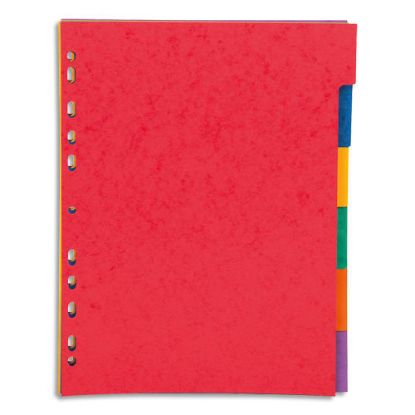 Image de PERGAMY Jeu 6 intercalaires neutres 6 touches carte lustrée 225g. Format A4. Coloris assortis vif