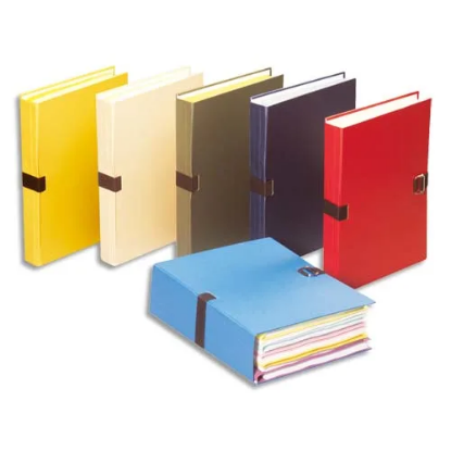 Image de PERGAMY - Lot de 25  chemises extensibles recouvertes de papier toilé coloris assortis
