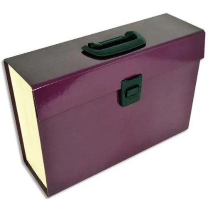Image de PIERRE HENRY - Trieur PREMIUM 20 compartiments, en carton renforcé. Coloris aubergine