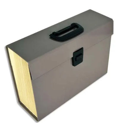 Image de PIERRE HENRY - Trieur PREMIUM 20 compartiments, en carton renforcé. Coloris taupe